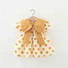 Meisjesjurken Zomer Baby Girl Jurk Girls Big Bow Flip kraag vol met dot print bubble mouwen prinses jurk kinderjurk