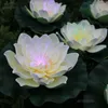 装飾的な花ベージュロータスカラーLEDナイトライト人工防水光ファイバーフローティングフラワーヘッドリリーウェディングパーティーの装飾