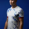 Nouveau Jerseys de football 2024/25 Norse à la maison