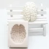 Formar 3D Brain Silicone Fondant Mögel DIY HESIN CHOCOLATE CAY CAKE DECORATERING TOLICES Kök Bakningstillbehör M2002