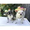 Appareils de chien Paille Chapeau de chiens réglables Chapeaux Caps Decorative Mexican Style avec longe