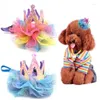 Hundkläder födelsedagshatt krona för husdjur blommor glänsande hattar med justerbar repflicka valp kitty ackosory alla hundar