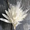 Dekorative Blumen getrocknete Blumenanordnung |Braut Mini -Blumenstrauß für Boho Decor Natural Pampas Grass Tisch Hochzeitsfeier Home