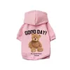 Hundekleidung Winter Fleece warme Haustierhund Kleidung süßer Cartoon Bärenhundhuthie für kleine Hunde Pullover Welpe Kostüme Chihuahua Hug Ropa Perro D240426