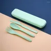 Servis uppsättningar 4 färg kreativ bärbar vete bestick med case eco fridendly knivgaffel sked för studentkantin res camping
