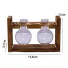 Vases Terrarium Glass Planter With Wood Stand Flower Vase For Shelf Bedside