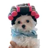 Hundkläder Styliskt husdjur Huvudbonader Handgjorda söta mössa lockigt hårperm unisex hattförsörjningar