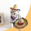 Dog Apparel Straw Sombrero Mexican Hat Pet Adjustable Buckle Multicolor Cat Beach Party Sun Accessories