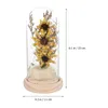 Fleurs décoratives tournesol artificiel avec des lumières de fée à LED dans le dôme en verre lampe à fleurs enchantées pour les mères de la Saint-Valentin anniversaire