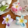 Clip per capelli Barrette 2022 Nuove ragazze colorate Eleganti Flower Clip Plastica Accessori femminili Claw Fashion Claw