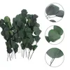 Decoratieve bloemen bewaren gedroogde eucalyptus stengels echte lange centerpieces bundelbladeren Bladeren decor bewaard gebleven plant