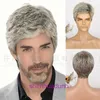 Mens Wig Mode Kort hår Mixed Color Style Texture Fluffy Straight Handsome Chemical Fiber Huvudbonader