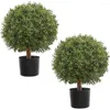 Decorative Flowers 24.5''T Artificial Boxwood Ball Topiary Tree Set Of 2 Bushes Potted Plants For Porch Outdoor Or Indoor Home Decor UV