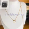 Heren hanger ontwerper ketting sieraden luxe kettingen Vogue mannen dames trendy persoonlijkheid titanium sleutelbeen ketting kristal parel bruiloft geschenk met doos