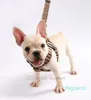 Lyxiga hundhalsar Leases Set Designer Dog Leash Seat Belts Pet Collar and Pets Chain för små medelstora stora hundar Cat Chihuahua Poodle Bulldog Corgi Pug Brown