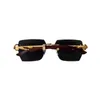 Designer Sonnenbrille Kas Kas mittleren und älteren Geldes Leoparden Sonnenbrille für Frauen wild