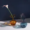 Vasos bola transparente hidropônico vaso de vidro de vidro de vidro Vaso de sala de estar decoração de mesa de decoração
