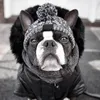 Abbigliamento per cani Cappelli per cappelli per animali domestici a maglia per animali