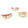 Party Decoration 12pcs/ Set Halloween Funny Tricky Dentures Bucktooth Vampire Fake Teeth Toy For Children Cosplay Props Decor