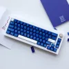 Keyboards Fancylab New Blue Keycaps Cherry Profile Semi transparent Two color Injection Mold Abs Material Adaptation Mechanical Keyboard