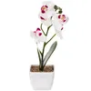 Decorative Flowers Artificial Flower Phalaenopsis Dining Room Table Decor Simulation Potted Sashimi Simulated Lifelike Silk Faux