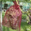 Other Garden Supplies 100Pcs/Set Stberry Grapes Fruit Grow Bags Netting Mesh Vegetable Plant Protection For Pest Control Anti-Bird Ple Otgcu