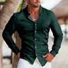 Camicie casual maschile 2024 Slipe Stripe Stampa grafica Slim Brown Outdoor Street Long Abbigliamento Abbigliamento chic alla moda