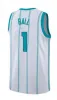 Lamelo Basketball Jerseys Brandon Miller Hornet Tre Mann Mark Williams Miles Bridges Nick Richards Seth Curry New City Jersey Men Custom