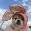 Dog Apparel INS Style Ear Pet Knitted Hat Winter Warmth Cover Cat Cute Decoration Cap Pomerian Accessories