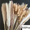 Dekorative Blumen getrocknete Blumenanordnung |Braut Mini -Blumenstrauß für Boho Decor Natural Pampas Grass Tisch Hochzeitsfeier Home