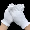 Gloves White Cotton Work Gloves Bulk for Dry Handling Film SPA Gloves Ceremonial High Stretch Gloves Household Cleaning Working Tools