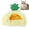 Hundkläder husdjur ananas hatt djur säkra material justerbar söt för kattkattungarvalp