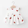 Girl's Dresses Summer Girls Dress Baby Girl Embroidered Cartoon Strberry Little Flying Sleeves Princess Dress Childrens Dress