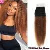 Wigs Dreamdiana Remy Brazilian Kinky Straight Crowur Ombre Curly 4 x 4 закрытие кружев