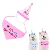 Abbigliamento per cani Kawaii Cat Birthday Cappello Triangolo Pet Party Stampa di costumi Cap Cap Capite di Natale Cani Decorazioni