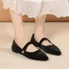 Casual Shoes 2024 Summer Women's Pointed Toe Flat Velvet Matte Single Comfortable Loafers Leather Mary Jane Sandals