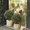 Fiori decorativi 24,5't '' set di alberi artificiali a sfere in bosso di 2 cespugli piante in vaso per portico esterno o arredamento per la casa interno UV