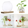 Vazen Mini Clear Hydroponic Plants Vaas Decoratieve plantenbak met houten standaard