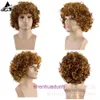 70s/80s rock style 80s memories killing short curly fluffy wigs role-playing fashion