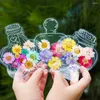 20pcs bricolage Transparent Séché Florik Bookmarks exquis Design Floral Plant Decorations Clear Page Books Markers