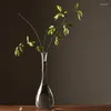 Wazony w stylu Japonii Szklany wazon przezroczysty do dekoracji biura domowego