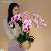 Fiori decorativi Phalaenopsis Orchid Flower Branch (7 fiori/stelo) 78 cm 3d Touch Office Decorazione della casa Centrotavola