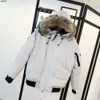 PILOT DESIGNER WYNDHAM PARKA INVERNA DOUL CAPPEGNO OUTDOOR DOMENA DONNA CLASSE FADIANA VERA COYOTE IN MARCHIO IN MAGLIO IN MAGLIO BIANCO UCSQ UCSQ