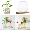 Vazen Mini Clear Hydroponic Plants Vaas Decoratieve plantenbak met houten standaard