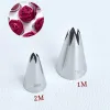 Molds #1m 2m Open STAR PASSCH TIP PIPING TIP NOTEN ZIJZEL CAKE Decoreren Tips Schrijfbuis Glazuur Glazuur Bakgebakgereedschap Bakgereedschap Bakgereedschap