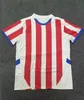 24-25 Paraguay Home Soccer Jerseys Anpassade thailändska anpassade tröjor Kingcaps Sports Dhgate 9 Santa Cruz 4 Gamarra 5 G.Gomez 8 R.Sanchez 10 M.ALMIRON