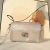 Luxury Designer Jelly Tabby Bag Pvc Women Candy Colored Transparent Crossbody Bag Letter Flap Pushlock Closure Shoulder Bag Handbag Green Pink Gold Purse