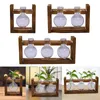 Vases Terrarium Glass Planter With Wood Stand Flower Vase For Shelf Bedside