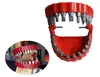 Декоративные объекты фигурки смешные зубные дневные держатели зубов.