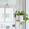 Decoratieve bloemen Bloempot Krans IJzeren Hoop Wandhangen plantenhanger met houten basis binnenbeugel